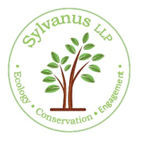 Sylvanus Llp logo, Sylvanus Llp contact details