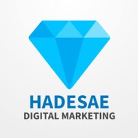 Hadesae Digital Marketing Agency logo, Hadesae Digital Marketing Agency contact details