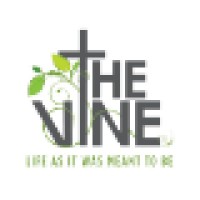 The Vine - St. Louis Park, MN logo, The Vine - St. Louis Park, MN contact details