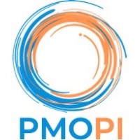 PMO Professional Indonesia logo, PMO Professional Indonesia contact details