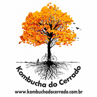 Kombucha do Cerrado logo, Kombucha do Cerrado contact details