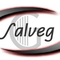 Grupo Salveg S.A de C.V logo, Grupo Salveg S.A de C.V contact details