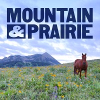 Mountain & Prairie Media logo, Mountain & Prairie Media contact details