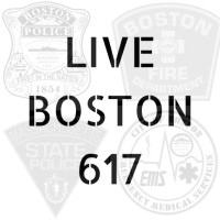 Live Boston 617 Inc. logo, Live Boston 617 Inc. contact details