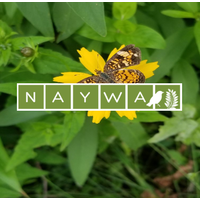 North American Youth Wildlife Association (NAYWA) logo, North American Youth Wildlife Association (NAYWA) contact details