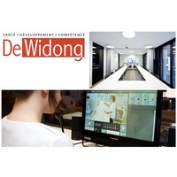 DeWidong logo, DeWidong contact details