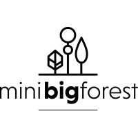 Mini Big Forest logo, Mini Big Forest contact details