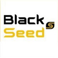 BlackSeed logo, BlackSeed contact details