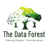 The Data Forest 🌳 🌳 🌳 logo, The Data Forest 🌳 🌳 🌳 contact details