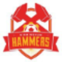 Birmingham Hammers logo, Birmingham Hammers contact details