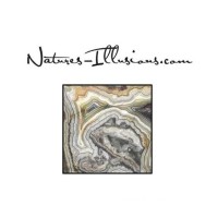 Nature's Illusions logo, Nature's Illusions contact details