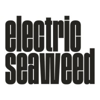 Electric Seaweed LLC logo, Electric Seaweed LLC contact details