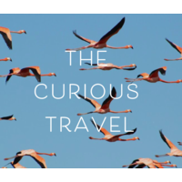 The Curious Travel logo, The Curious Travel contact details