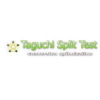 Taguchi Technologies, LLC logo, Taguchi Technologies, LLC contact details