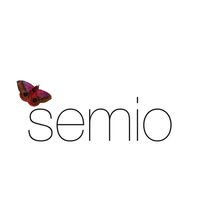 Semio Consulting & Computer Services Inc logo, Semio Consulting & Computer Services Inc contact details