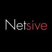 Netsive logo, Netsive contact details