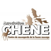 Association CHENE logo, Association CHENE contact details