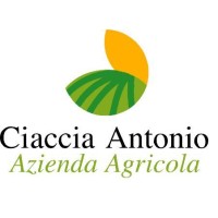 Azienda Agricola Ciaccia logo, Azienda Agricola Ciaccia contact details