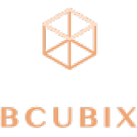 BCUBIX logo, BCUBIX contact details