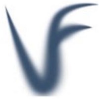 Valuefid SA logo, Valuefid SA contact details