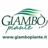 Giambo'​ Piante di Vito Giambo'​ logo, Giambo'​ Piante di Vito Giambo'​ contact details