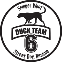 Duck Team 6 Street Dog Rescue logo, Duck Team 6 Street Dog Rescue contact details