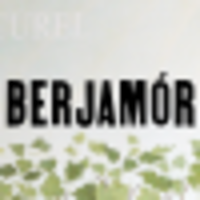 Berjamór ehf logo, Berjamór ehf contact details