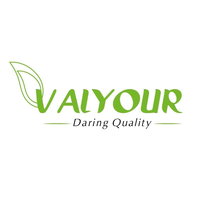 VALYOUR logo, VALYOUR contact details