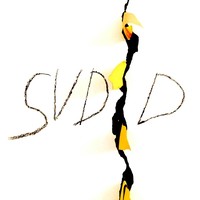 Associazione SUDD logo, Associazione SUDD contact details