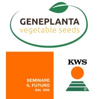 Geneplanta S.r.l. logo, Geneplanta S.r.l. contact details