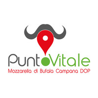 PUNTO VITALE S.R.L. logo, PUNTO VITALE S.R.L. contact details