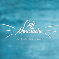 Café Moustache - Café des chats Rouen logo, Café Moustache - Café des chats Rouen contact details