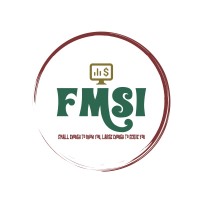 FMSI Group, Inc logo, FMSI Group, Inc contact details