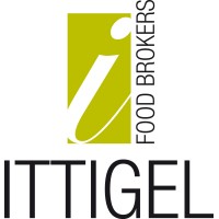 Ittigel S.r.l. logo, Ittigel S.r.l. contact details