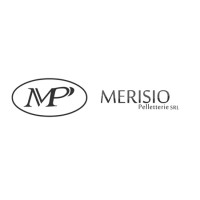 MERISIO S.R.L. logo, MERISIO S.R.L. contact details