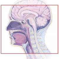 Biointeract logo, Biointeract contact details