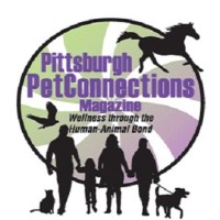 PetConnections Magazine logo, PetConnections Magazine contact details