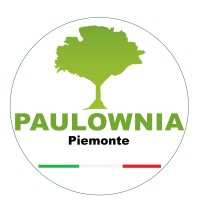 PAULOWNIA PIEMONTE logo, PAULOWNIA PIEMONTE contact details