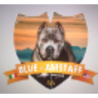 Blue Amstaff logo, Blue Amstaff contact details