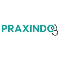 Praxindo GmbH logo, Praxindo GmbH contact details