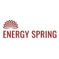 Energy Spring srl logo, Energy Spring srl contact details