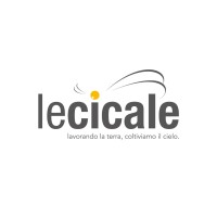 Le Cicale Agency logo, Le Cicale Agency contact details