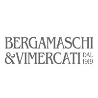 Bergamaschi & Vimercati S.p.A. logo, Bergamaschi & Vimercati S.p.A. contact details