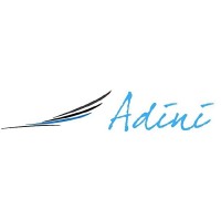 Adini Incorporation logo, Adini Incorporation contact details