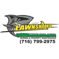 Lockport Lawnsharks logo, Lockport Lawnsharks contact details