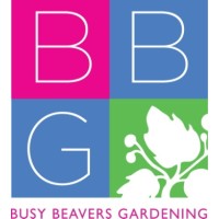 BUSY BEAVERS GARDENING LLC logo, BUSY BEAVERS GARDENING LLC contact details