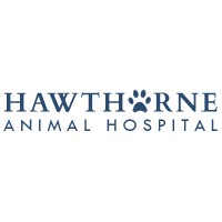 Hawthorne Animal Hospital, PA logo, Hawthorne Animal Hospital, PA contact details