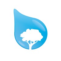 Bluestone Tree logo, Bluestone Tree contact details