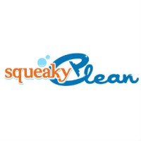 Squeaky Clean of Palm Beach logo, Squeaky Clean of Palm Beach contact details