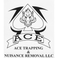 Ace Trapping and Nuisance Removal LLC logo, Ace Trapping and Nuisance Removal LLC contact details